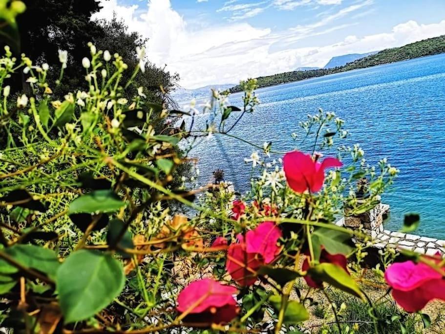 Villa Violeta Lefkada Nydri Екстер'єр фото